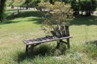 Bancs publics , Martine Rieg Sezer, Formatrice professionnelle