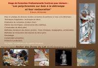 Les polychromies sur bois à la détrempe et leur restauration , Martine Rieg Sezer, Formatrice professionnelle